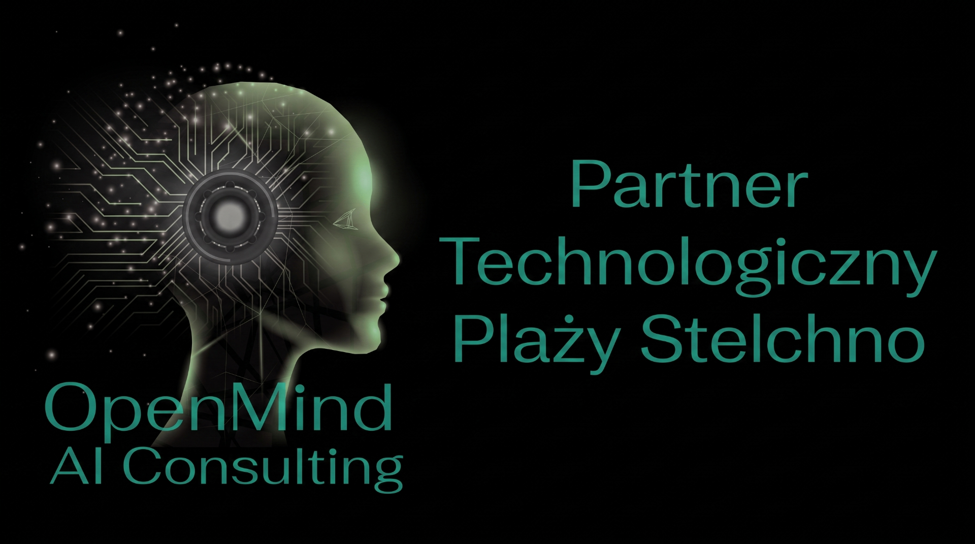 OpenMind AI Consulting — Partner Technologiczny Plaży Stelchno